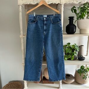 Agolde Harper Crop Jean in Moor (32)